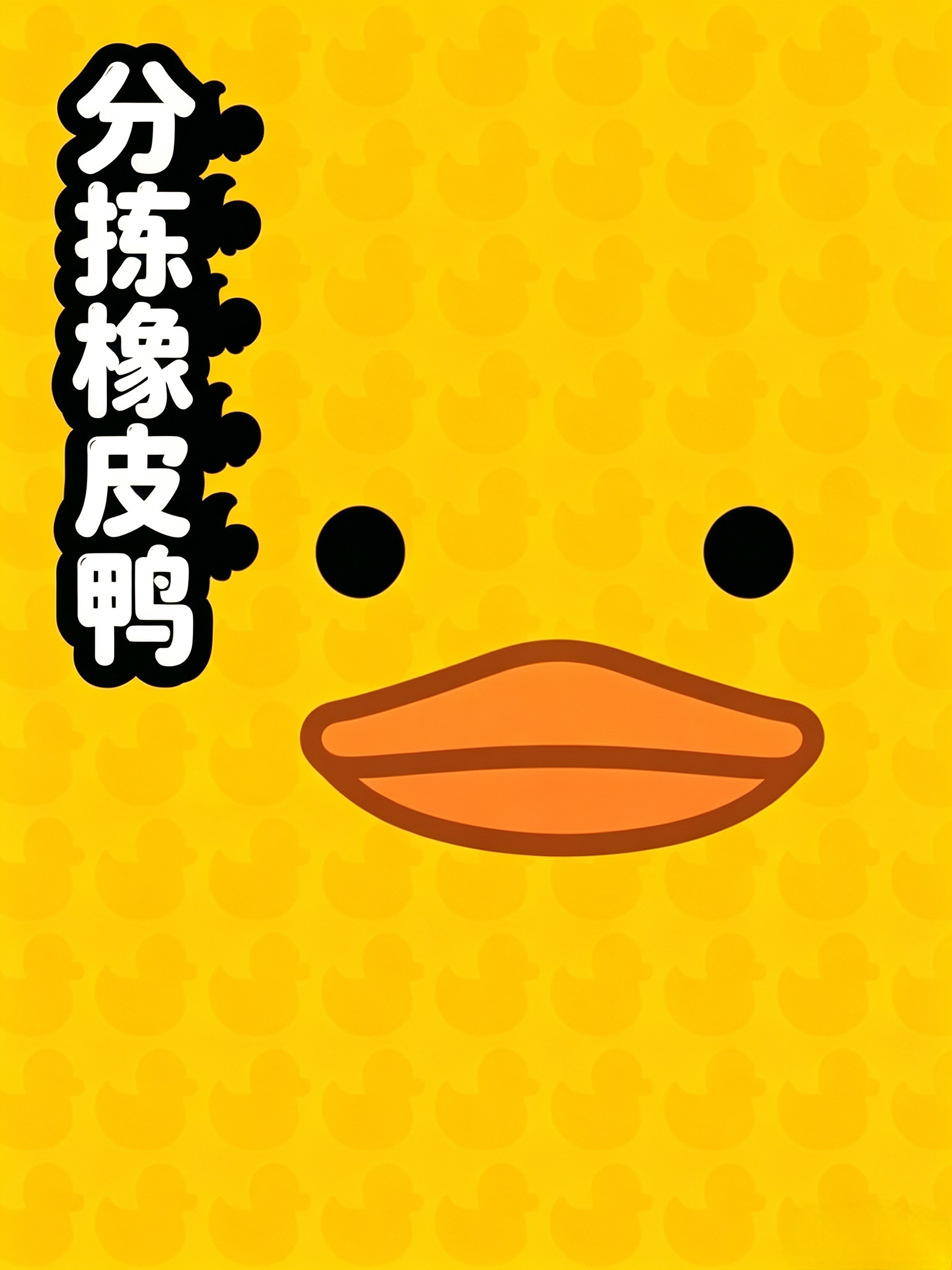 分拣橡皮鸭 Sort Them Ducks
